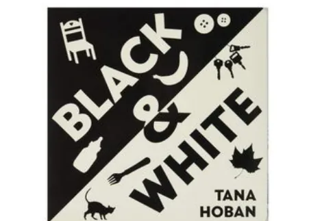 Black & White Book