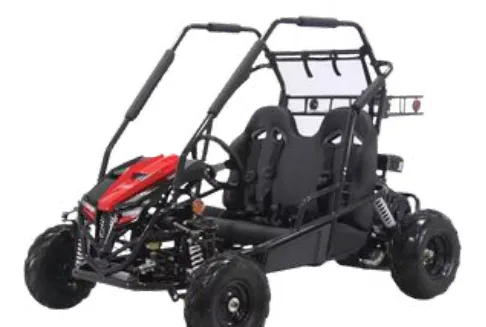 Gas Powered Go-Kart