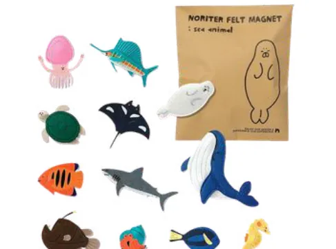 Magnetic Felts